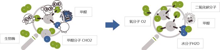 树派环保加盟条件