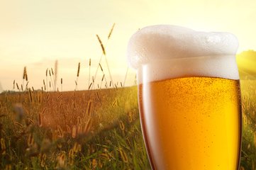 碧特博格啤酒加盟优势 碧特博格啤酒加盟优势